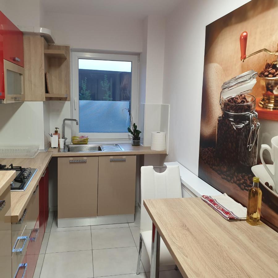 Carolina Sweet Apartament Oradea Buitenkant foto